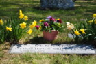 Before and After Pictures In Storrs Cemetery